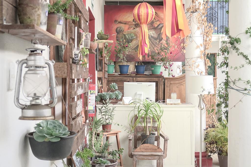 Posada Santa 호텔 San Cristóbal de Las Casas 외부 사진
